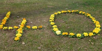 654513_web_R_K_B_by_GilaH_pixelio.de (c) GilaH (pixelio.de)