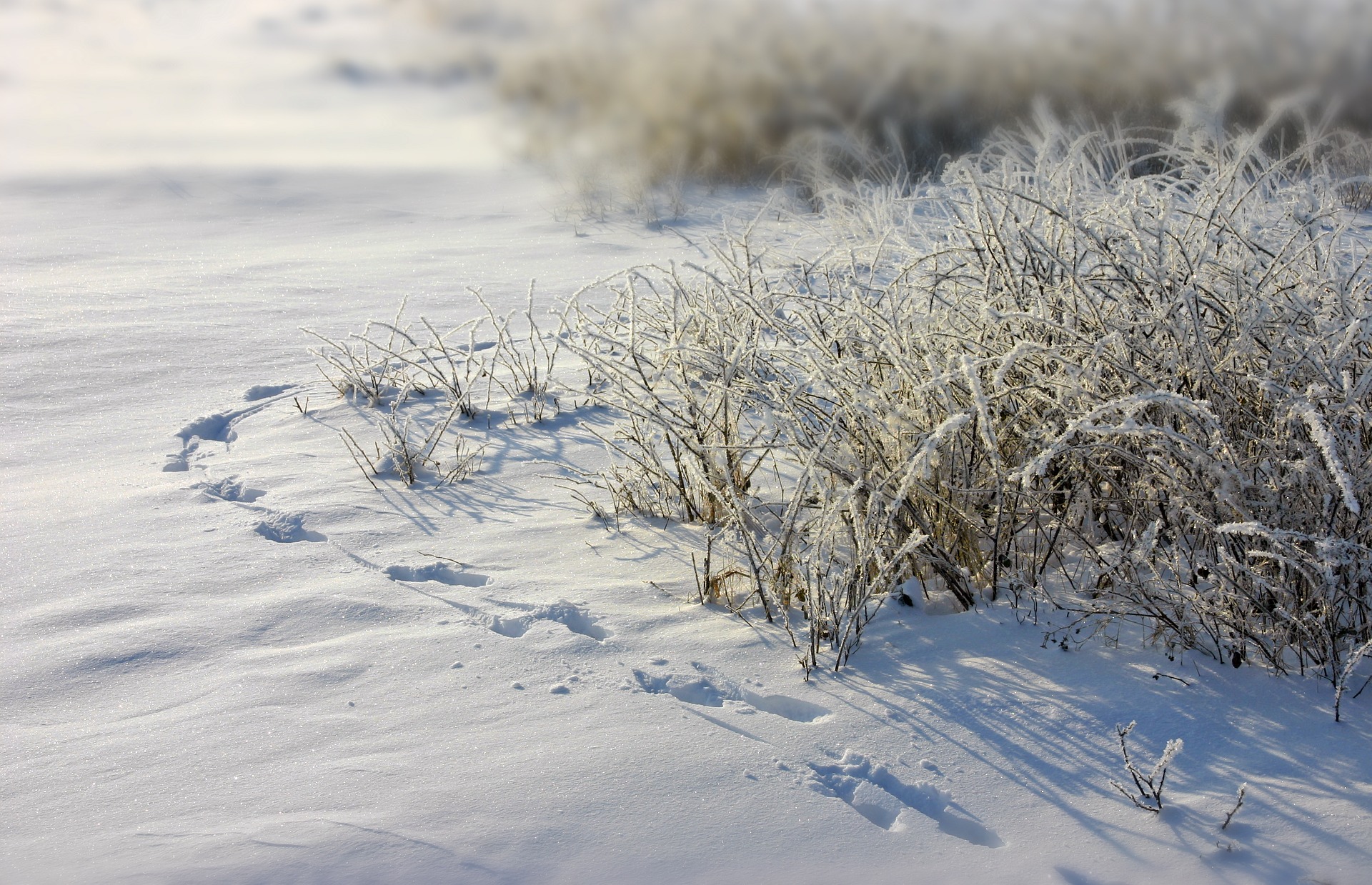 Spuren im Schnee (c) Bild von Kito32 auf pixabay