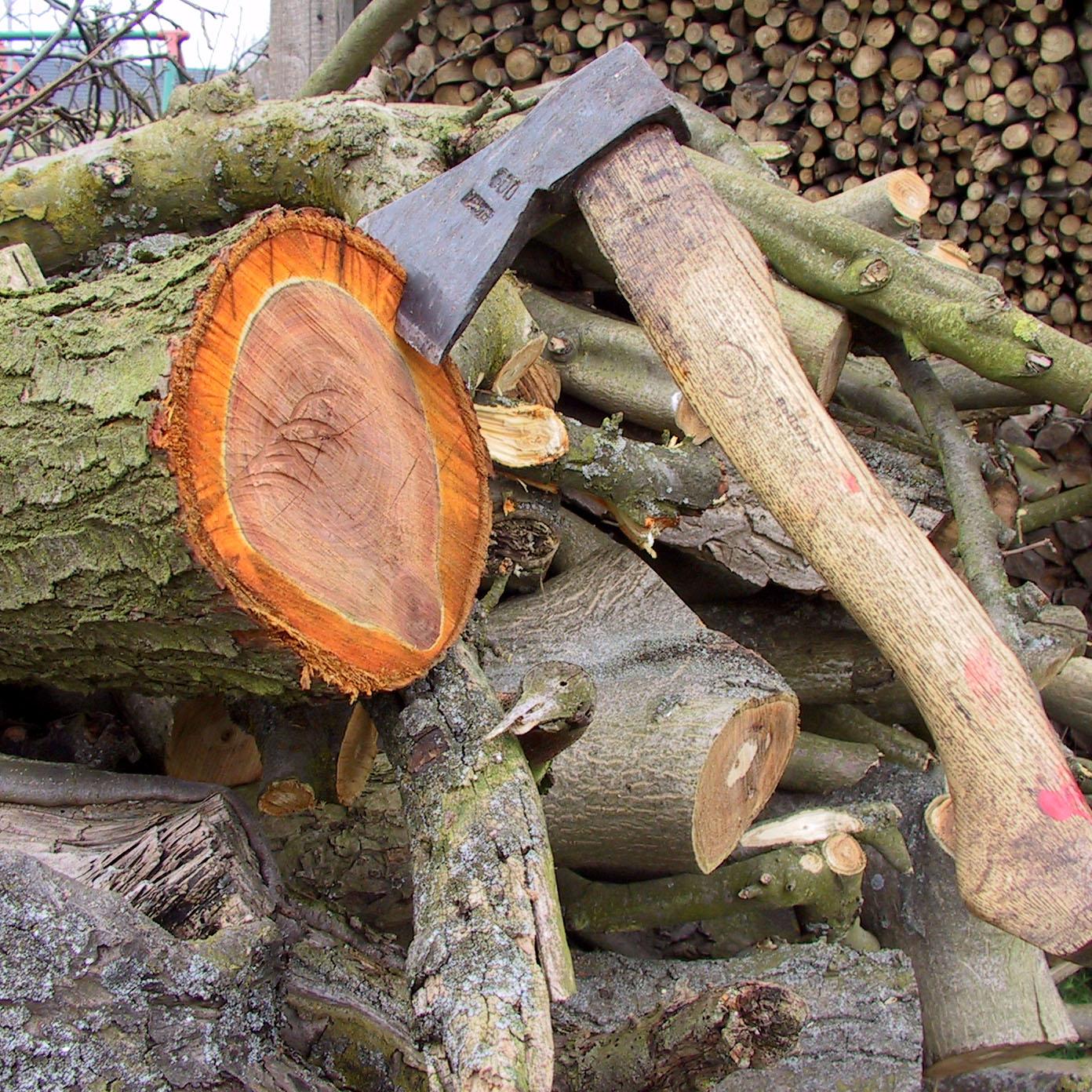 20570_die-axt-2_kyken_pixelio