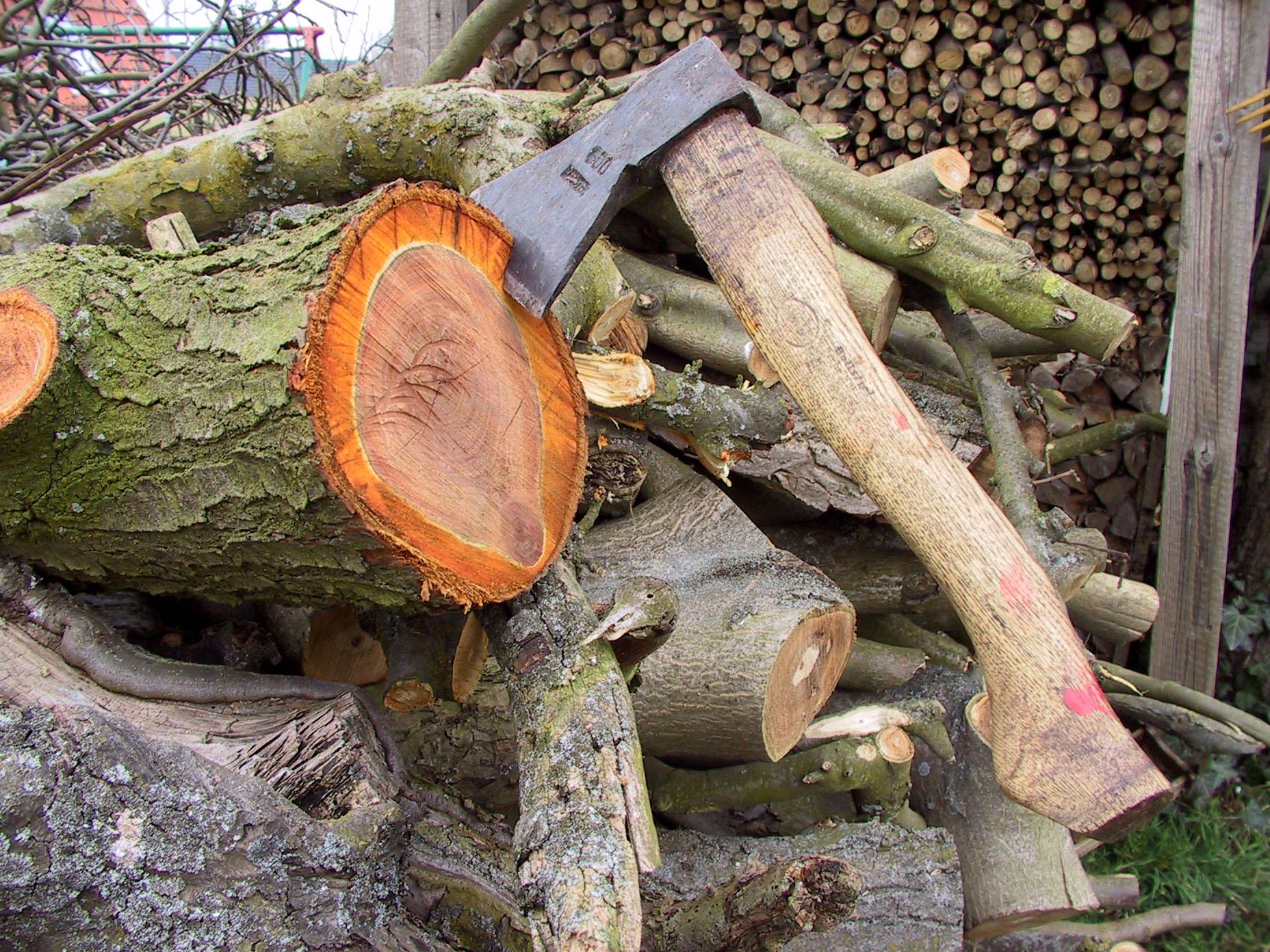 20570_die-axt-2_kyken_pixelio