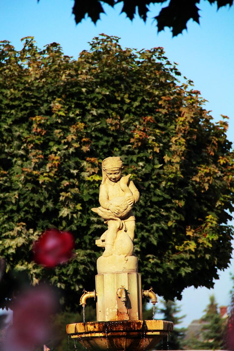 570868_hans-im-gluck_thor48_pixelio (c) Torsten Rempt (www.pixelio.de)