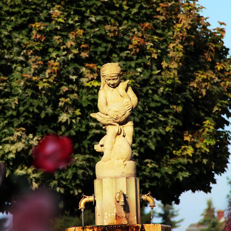 570868_hans-im-gluck_thor48_pixelio