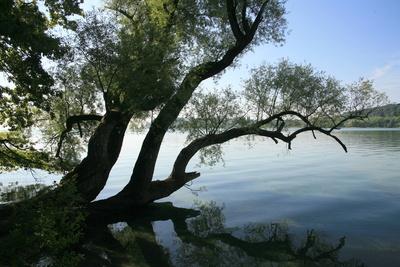 658640_web_R_B_by_LouPe_pixelio.de