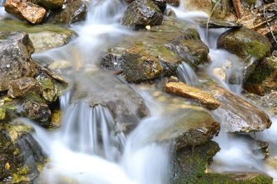 731569_web_R_K_by_Andreas Hermsdorf_pixelio.de