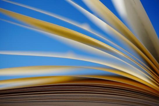 a-book-6213537_640 (c) Michaela (Kranich17) - www.pixabay.de
